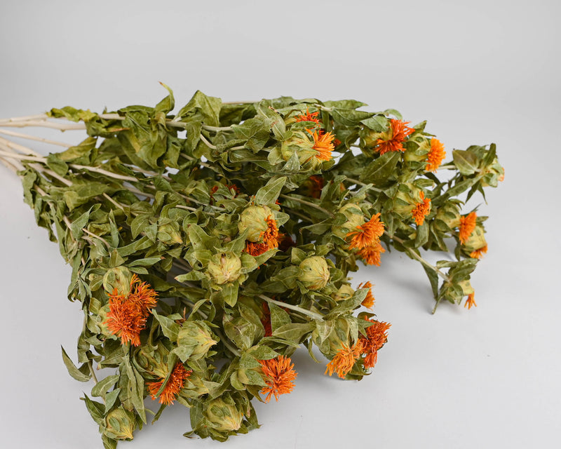 Dried Safflower bunches - Dried Safflower Flowers bunch